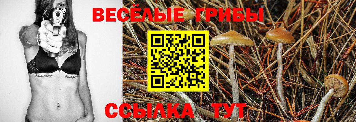 Галлюциногенные грибы Cubensis Кунгур